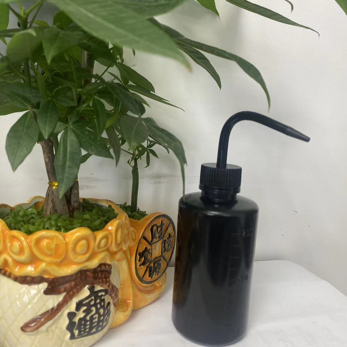 Spot 250ml Squeeze Gießflaska – Kompakt sprayflaska för precis goding och dosering Carvallo