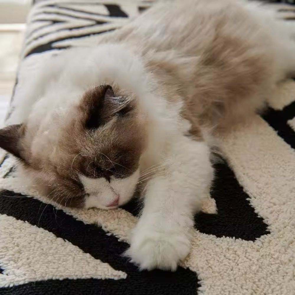 Lyxig Urban Maze Sofföverdrag Carvallo