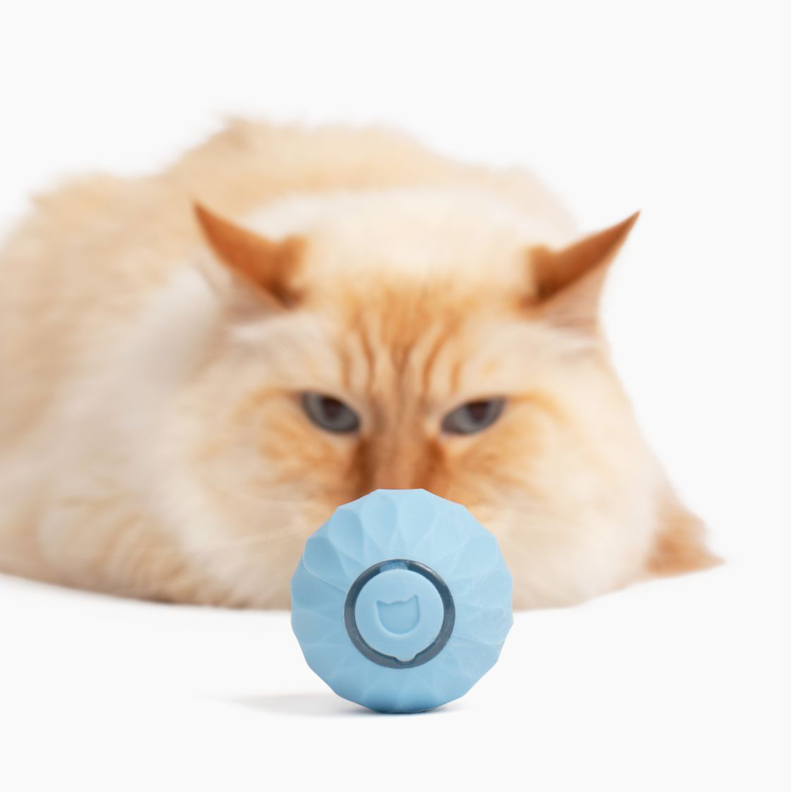 Katt leksak | Interaktivt självrullande boll Carvallo