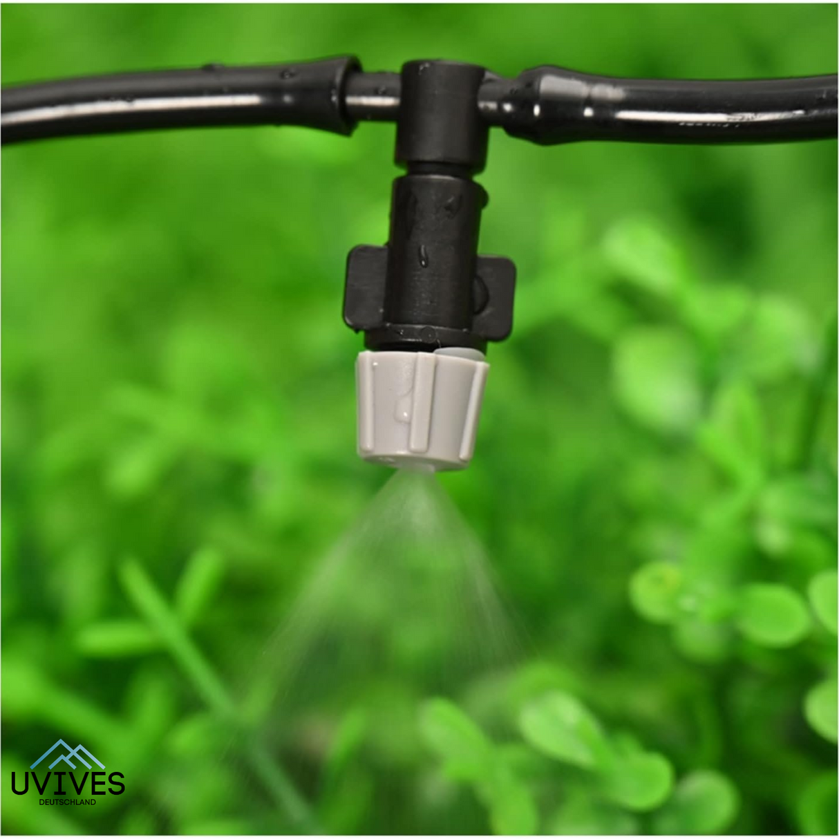 Carvallo Pro – Maximal avkastning med minimal ansträngning (20-pack) Carvallo