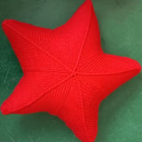 Stjärnfall Handstickad Kudde Carvallo