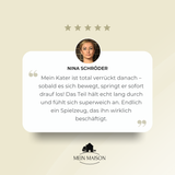 Carvallo – Den medspelare som tänker med Carvallo