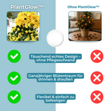 Carvallo – Naturlig elegans, ständigt fräsch [Sista dagen rabatt] Carvallo