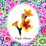 Carvallo – Den smarta baren för kolibrier! Carvallo