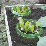 Carvallo skyddsringar | 20-pack | Växtskydd mot sniglar & insekter | Utan kemi eller elektricitet | Återanvändbar Carvallo