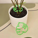 Carvallo växter stödsats | 2-delad | Av naturlig bambu | För inomhus- & utomhusträdgårdar | Stabil & dekorativ Carvallo