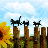 Carvallo-Set Catélo | 3-delad | Väderbeständig järn | Minimalistisk kattdesign i svart Carvallo