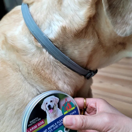 FästingFree – hund &katt halsband-leksaker-VaruZ-Hemnix