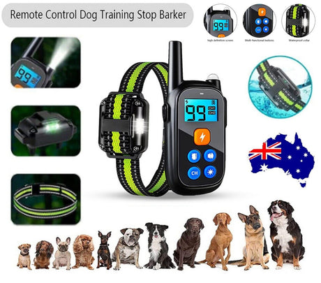 Anti-bark Elektrisk Stöt Djur Hund Träning E-halsband Lydnad Fjärrkontroll Carvallo