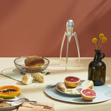 Manuell citruspress – Handhållen fruktpress i aluminium MILA Sverige