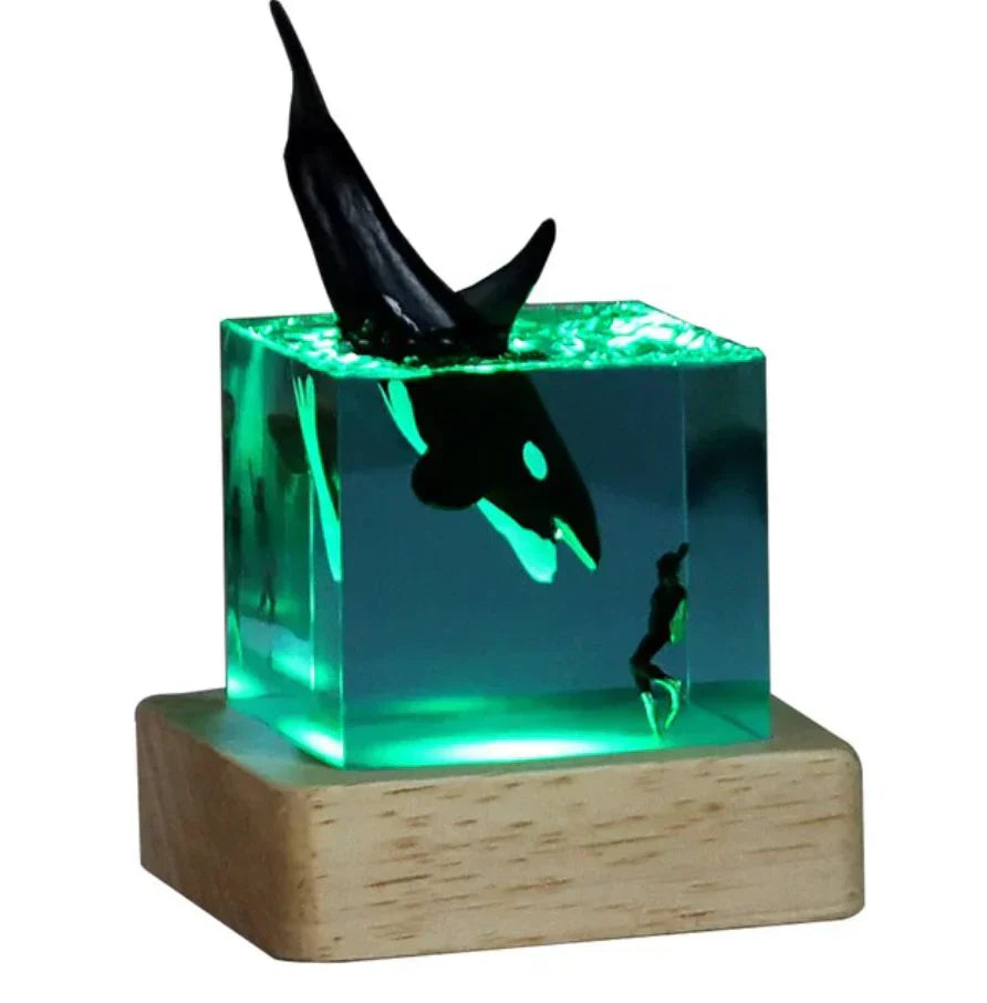 Nicky - Mystisk landskapslampa för eterisk belysning Carvallo