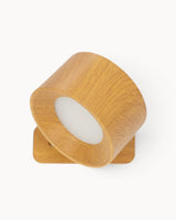 Carvallo – Vägglampa Modern och Trådlös med 360° Flexibilitet för Stilig Belysning Carvallo