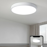 Cirkulära Flush Mount LED Taklampor Carvallo