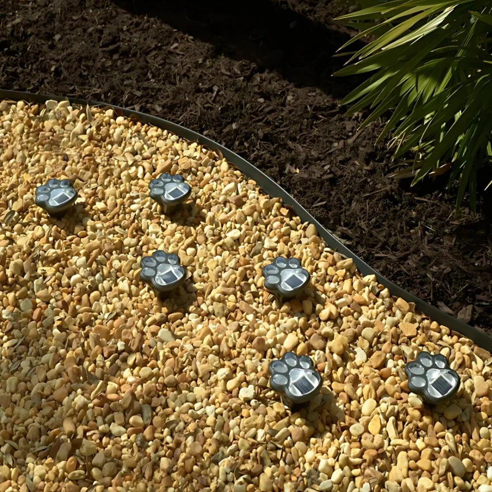 Miljövänlig husdjursnattlampa för hund- och kattälskare Carvallo