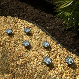 Miljövänlig husdjursnattlampa för hund- och kattälskare Carvallo