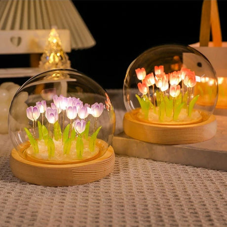 Graceful Tulip Ljus Under Glasdome för Lugnande Atmosfär Carvallo