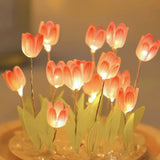 Graceful Tulip Ljus Under Glasdome för Lugnande Atmosfär Carvallo