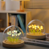 Graceful Tulip Ljus Under Glasdome för Lugnande Atmosfär Carvallo