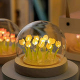 Graceful Tulip Ljus Under Glasdome för Lugnande Atmosfär Carvallo
