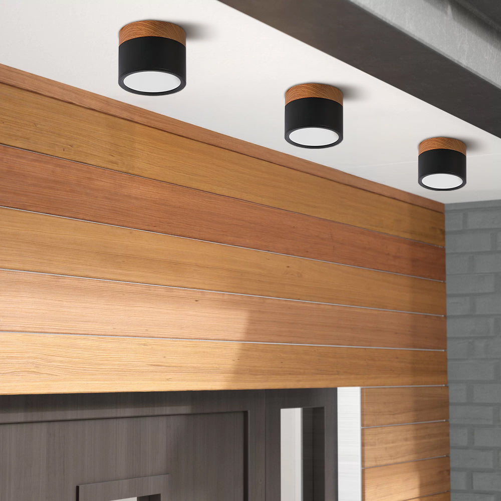 Cylinder Flush Taklampa | H2.36–2.75 in | Kompakt Modern LED Armatur | Sleek Aluminium | Brick by Brick Carvallo