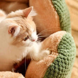 Cactus Thron Pet Bed - Stimulerar sömnkomforten Carvallo