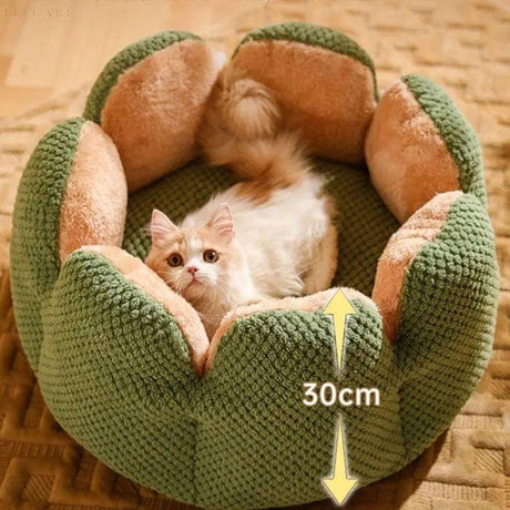 Cactus Thron Pet Bed - Stimulerar sömnkomforten Carvallo