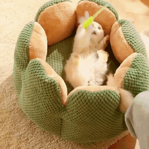 Cactus Thron Pet Bed - Stimulerar sömnkomforten Carvallo