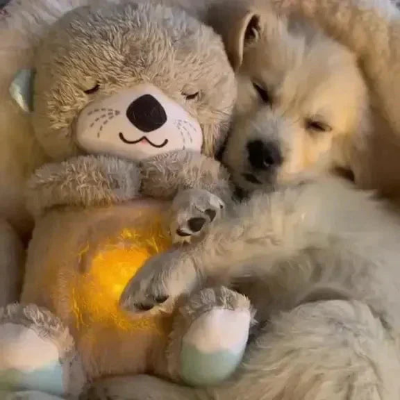 FurLuxe Lugna Plyschutter Hundkompis - Lugnande Ljud & Bärbar Komfort för Husdjur Carvallo