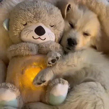 FurLuxe Lugna Plyschutter Hundkompis - Lugnande Ljud & Bärbar Komfort för Husdjur Carvallo