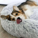 Calmzy – Mjuk, lugnande säng för husdjur Carvallo