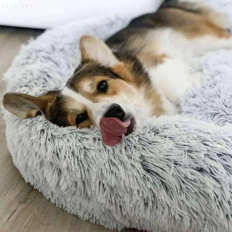 Calmzy – Mjuk, lugnande säng för husdjur Carvallo