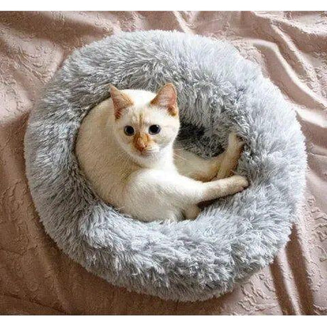 Calmzy – Mjuk, lugnande säng för husdjur Carvallo