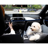 Hundbilstols säkerhetsbälte Carvallo