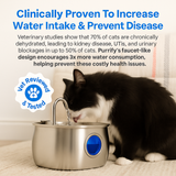 Carvallo Kattens Drickfontän i rostfritt stål | Strömmande vatten för bättre hydrering | Tyst & Hygienisk | 2,5 L kapacitet Carvallo