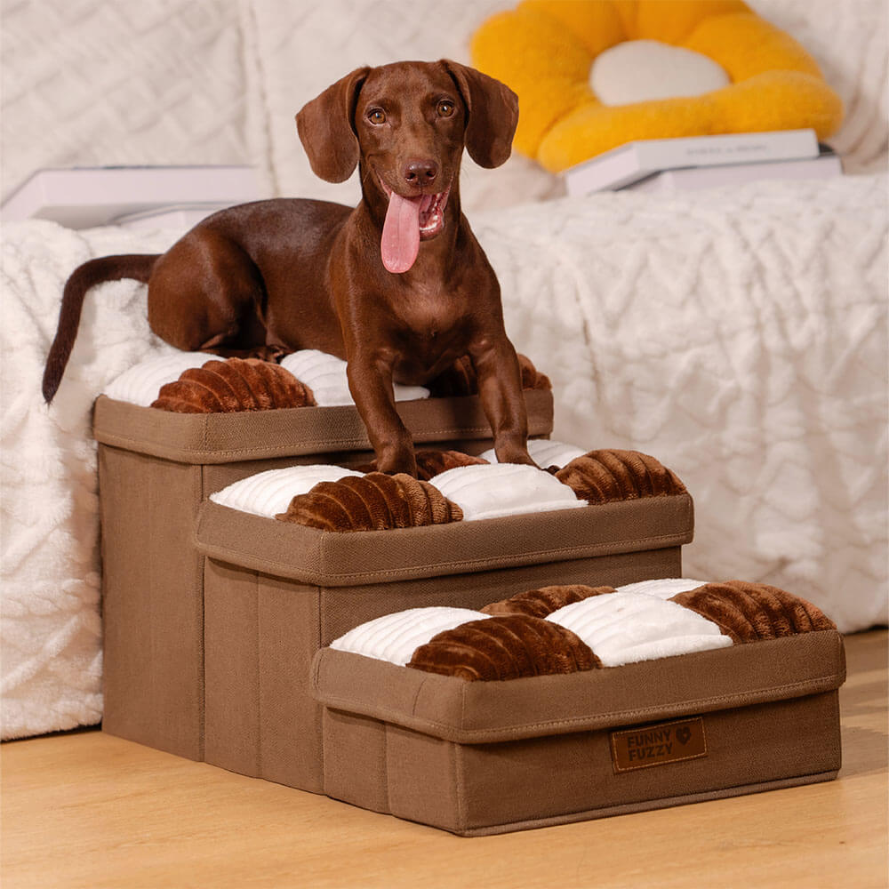 Hundtrappa med förvaring för soffer tillgång Carvallo