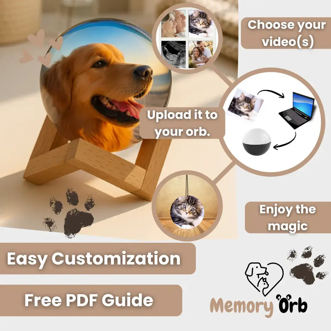 Royallure Memory Orb – Anpassad Videokula med 360° Ljud & USB Uppladdning Carvallo