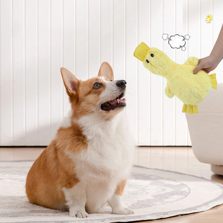 Hund Tugga Leksak Plysch Anka med Squeaker Carvallo