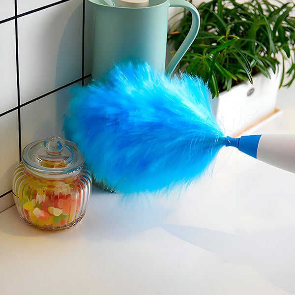 Carvallo – Enkla dammborttagningar på sekunder Carvallo