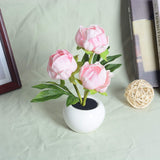 Blooming Tulip & Peony LED-nattlampa – elegant blomglöd MILA Sverige