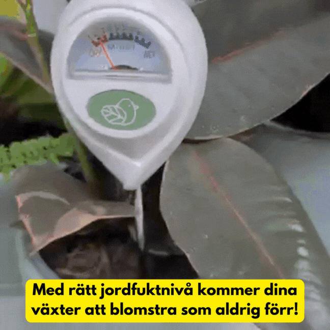 Fuktmätare-VaruZ-Hemnix