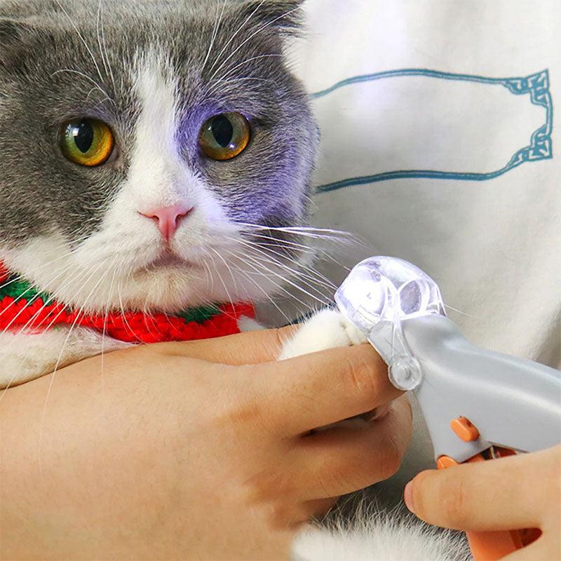 Royaleva Bästa Hundklotång Med Snabbsensorer Säker Trimming Carvallo