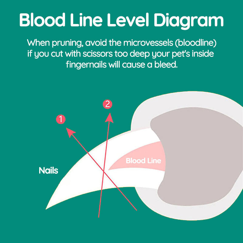 Royaleva Bästa Hundklotång Med Snabbsensorer Säker Trimming Carvallo
