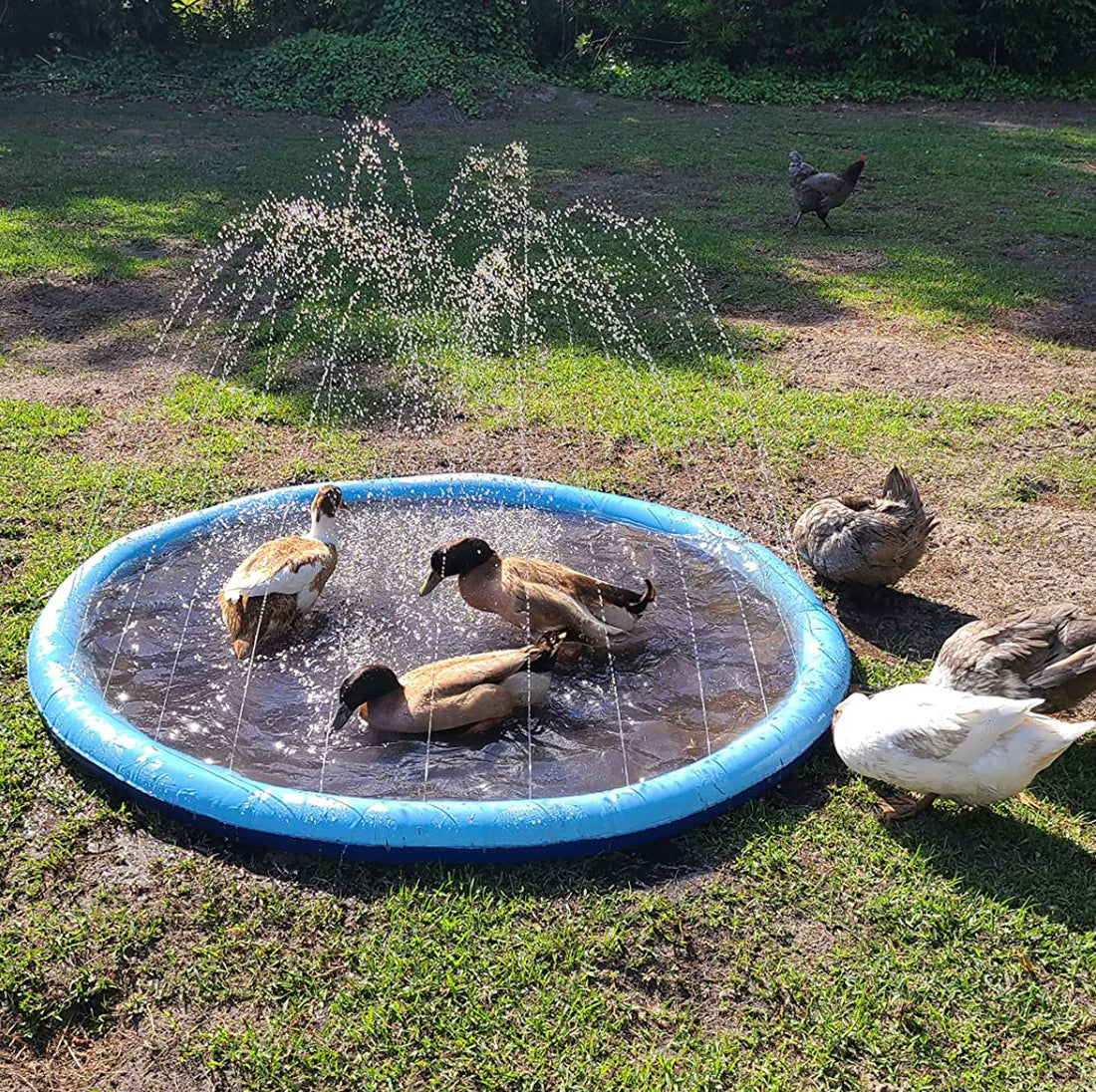 Pawellure Splash Pad för Hundar & Barn – Antiskid Sommar Sprinkler Mat för Utomhusskoj Carvallo