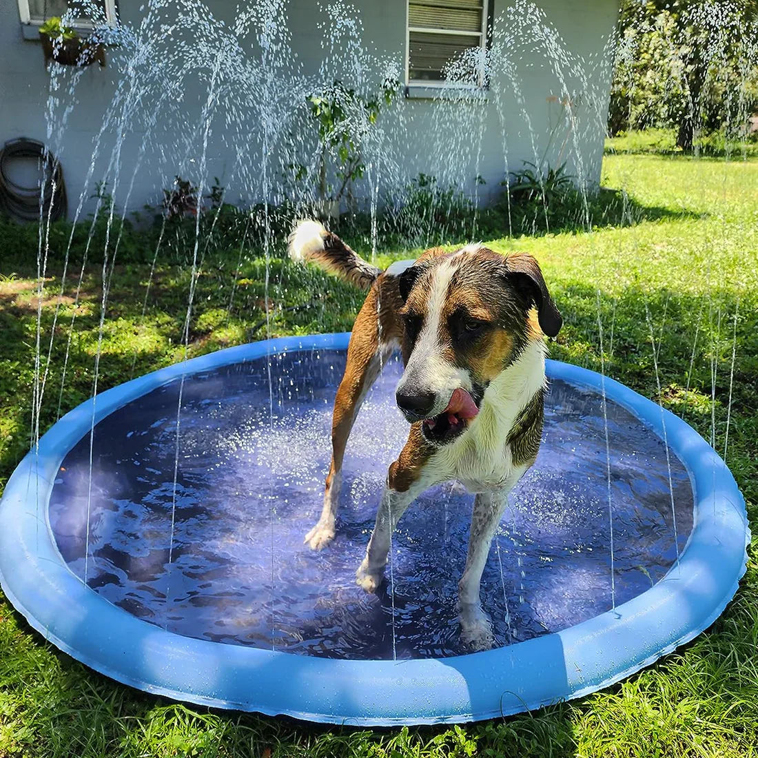 Pawellure Splash Pad för Hundar & Barn – Antiskid Sommar Sprinkler Mat för Utomhusskoj Carvallo