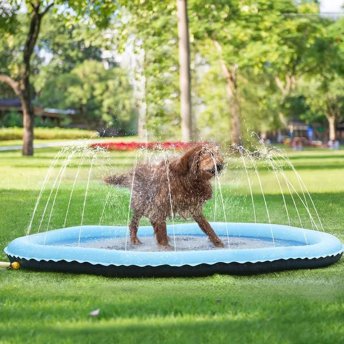 Pawellure Splash Pad för Hundar & Barn – Antiskid Sommar Sprinkler Mat för Utomhusskoj Carvallo
