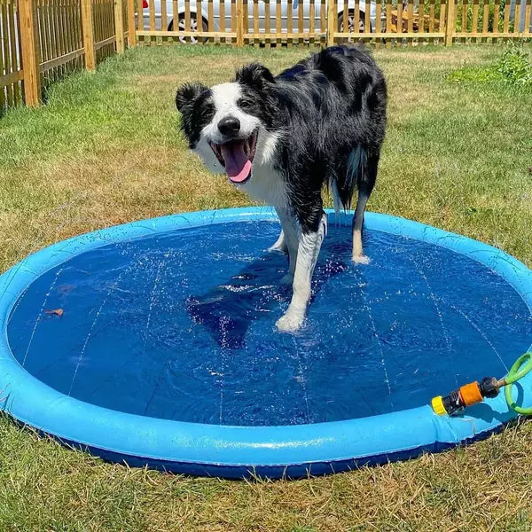 Pawellure Splash Pad för Hundar & Barn – Antiskid Sommar Sprinkler Mat för Utomhusskoj Carvallo
