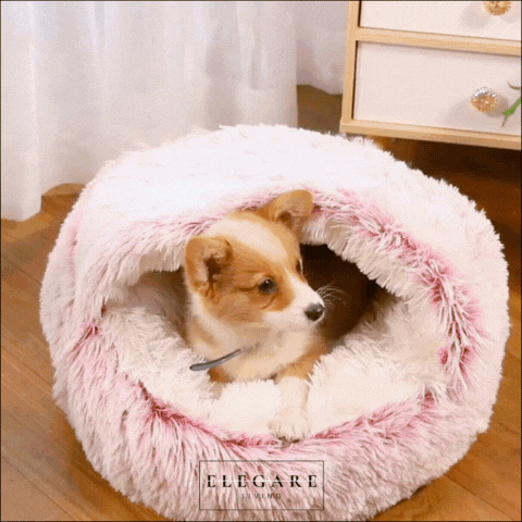 Dreamnest - Husdjur säng för ultimata lugn och komfort Carvallo