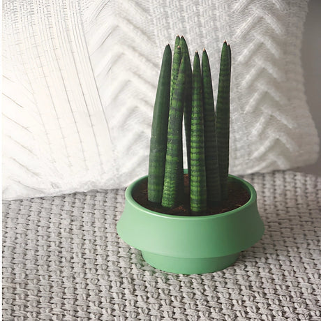 Elegant keramik blomkruka – Skandinavisk design för stilfull rumdekoration, glaserad finish Carvallo