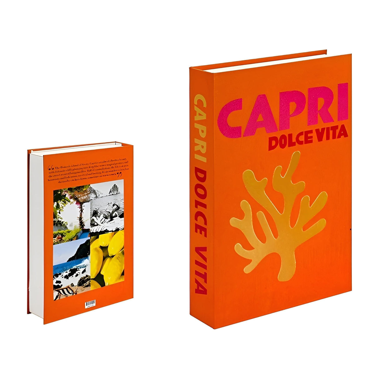 FauxReads Decor - Bokdekoration av reseserien Carvallo