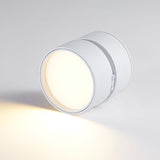 Ytmonterad LED Taklampa Carvallo